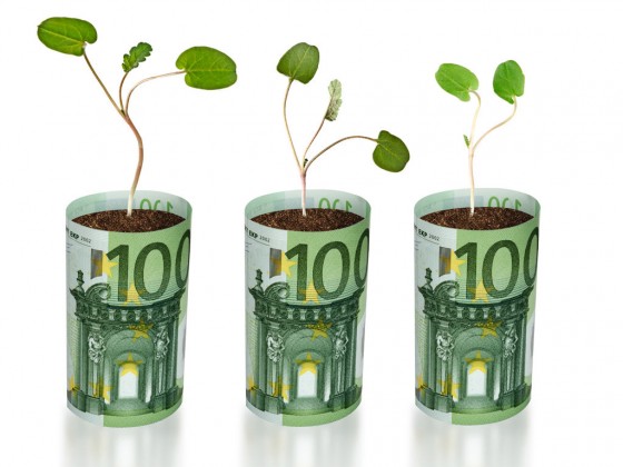 sapling growing from euro